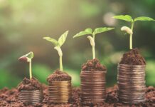 Comptabilité biophysique : comment valoriser la nature au bilan de votre PME Comptabilité biophysique comment valoriser la nature au bilan de votre PME