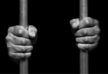 Financement de campagne politique: le cas Sarkozy Financement de campagne politique le cas Sarkozy