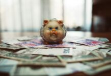 Succès du plan épargne retraite (PER) est-ce vraiment le placement idéal? plan épargne retraite (PER)